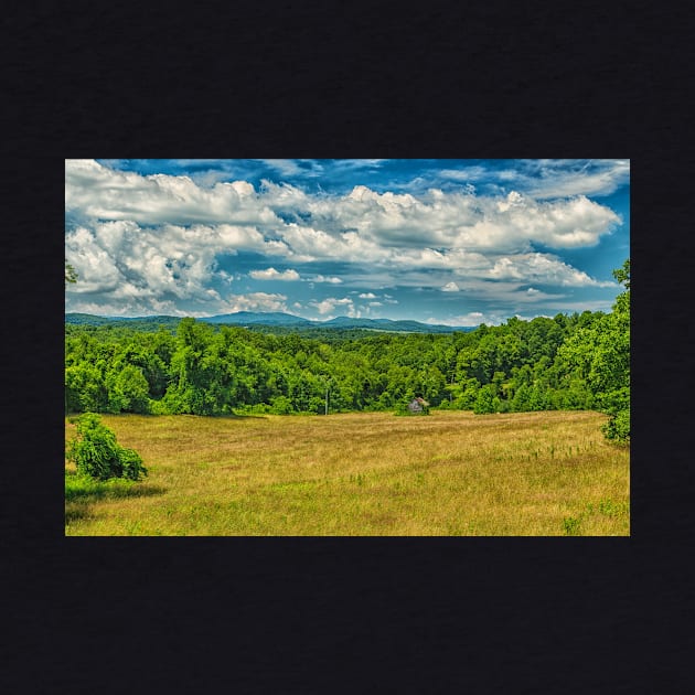 Virginia Summer Meadow by Gestalt Imagery